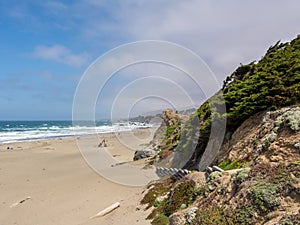 Sandy beach of the Bodega Bay an hour north of San Francisco. Sonoma County in California, USA