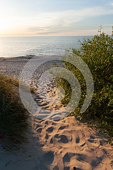 Sandy Beach with Bushes in Grzybowo Poland