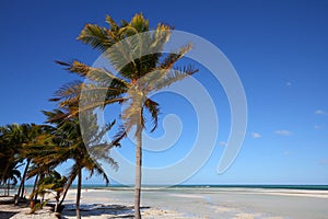 Sandy beach in Cayo Guillermo, Cuba photo