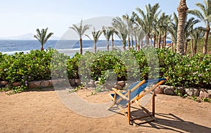 Sandy beach chair with palm trees and sea line