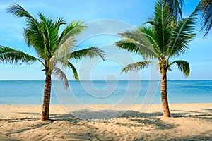 Sandy beach with coconut palm tree and blue sky . Tropical landscape . Summer vacations .