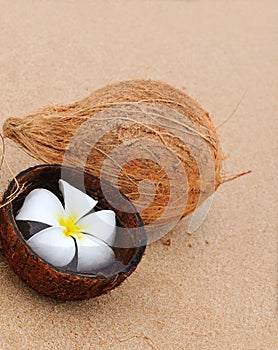 Sandy beach and coconut. Vertical photo