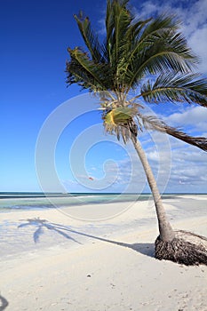 Sandy beach in Cuba