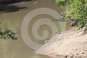 Sandy beach with dirty water