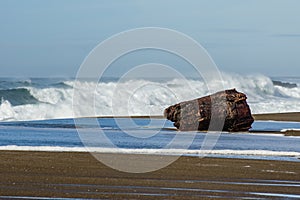 Sandy beach with driftwood log