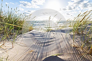 Sandy beach and dune with grass at the Baltic sea beach. Beautiful sea landscape