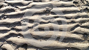 Sandy beach with footprints