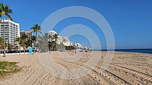 Sandy Beach of Fort Lauderdale With Blue Sky and Palm Tree