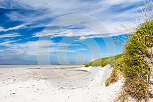 Sandy beach with grassy sand dune