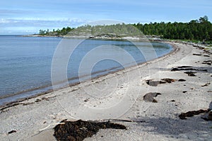 Sandy beach in the gulf of the White sea