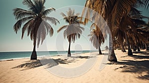 Sandy beach haven under the sun