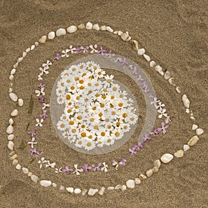Sandy beach with heart from flowers, Corsica