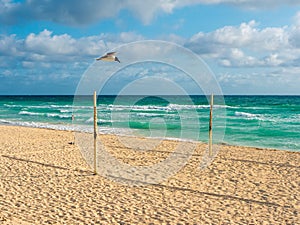 Sandy beach of the hotelTryp Cayo Coco. Island Cayo Coco, Cuba photo