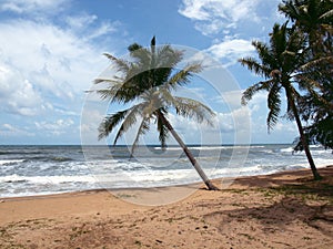 Sandy beach, island Phu Quoc, Mango bay, Vietnam 2