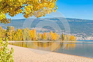 Sandy beach and lake surrounded by trees with yellow autumn leaves