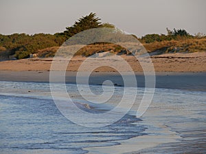 Sandy beach landscape and dunes in morning light