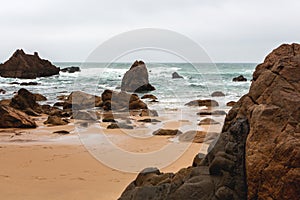 Sandy beach landscape with many brown stones