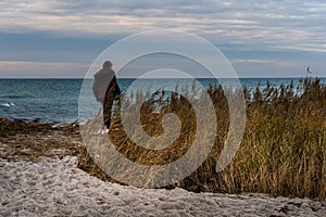 A sandy beach with long grass at a beautiful nature reserve. Picture from Falsterbo in Scania, Sweden