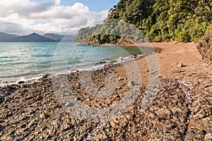 Sandy beach near Picton in Marlborough Sounds, New Zealand