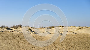 Sandy beach near Salin de Giraud on a sunny day in springtime