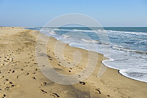 Sandy beach near Salin de Giraud on a sunny day in springtime