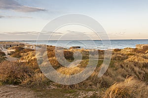 Sandy beach next to Skagen in Denmark