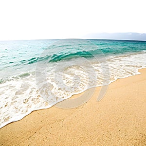 Sandy beach and ocean texture isolated on white background