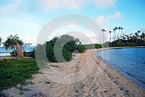 Sandy beach pacific