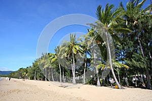 Sandy beach of Palm Cove, Cairns