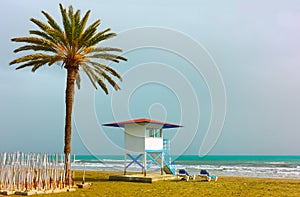 Sandy beach with palm tree and life guard tower