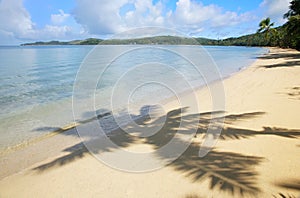 Sandy beach with palm tree shadows, Nananu-i-Ra island, Fiji