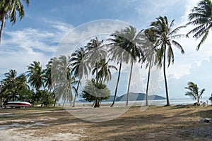 Sandy beach with palm trees on blue sky background with white clouds. Samui