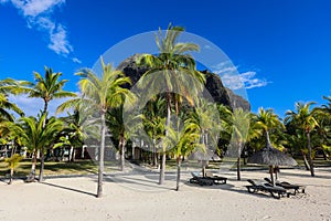 Sandy Beach With Palm Trees and Mountain in Background, Mauritius