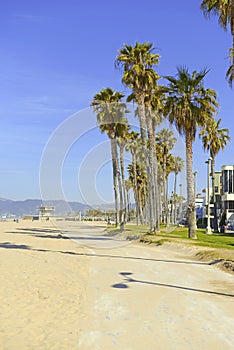 Sandy Beach and palm trees near Los Angeles in Southern California