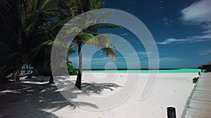 Sandy beach with palm trees and wooden path near azure ocean