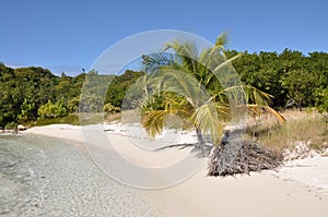 Beach at vacation resort of Antigua, Carribean