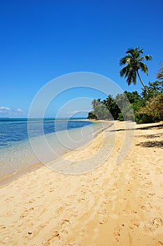 Sandy beach at Pangaimotu island near Tongatapu island in Tonga photo