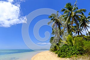 Sandy beach at Pangaimotu island near Tongatapu island in Tonga photo