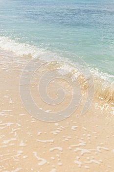 Sandy beach without people in Turks and Caicos