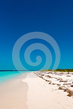 Sandy beach Playa Paradise of the island of Cayo Largo, Cuba. Copy space for text. Vertical. photo