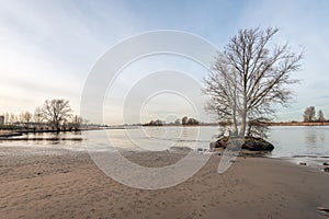 Sandy beach on a riverbank at low tide