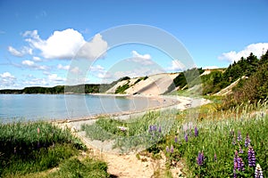 Sandy Beach in Rural Newfoundl