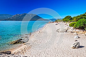 Sandy beach San Ciprianu in Corsica, France, Europe.