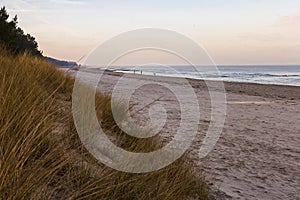 Sandy beach by the sea with dune grass in the foreground at sunset