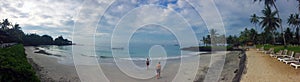 Sandy beach, the sea, palm trees and people come into water. Bali