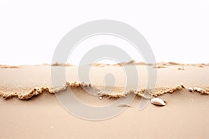 Sandy beach with seashell, white background