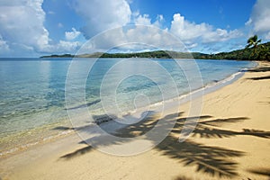 Sandy beach with a shadow of a palm tree, Nananu-i-Ra island, Fiji