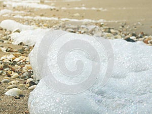 Sandy beach with shells and sea foam macro shore photo