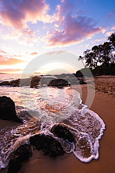 Sandy Beach Shore with Palm Trees Silhouette at Secret Beach in Maui