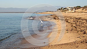 Sandy beach on the shore of the Sea of Cortes, La Ventana Bay, BCS, Mexico